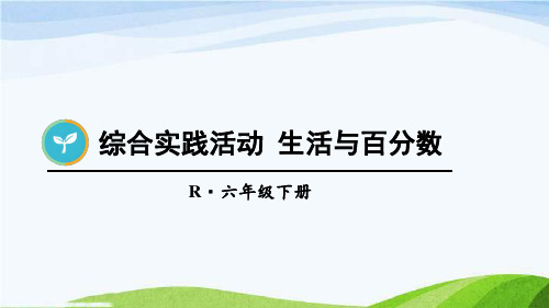 新人教版六下数学2 百分数(二)综合实践活动 生活与百分数