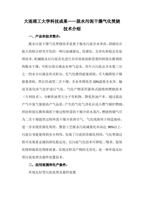 大连理工大学科技成果——脱水污泥干燥气化焚烧技术介绍