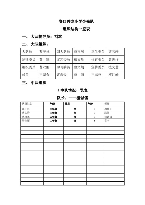 兴龙少先队组织结构一览表