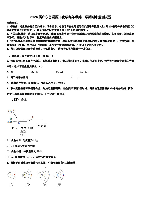 2024届广东省河源市化学九年级第一学期期中监测试题含解析