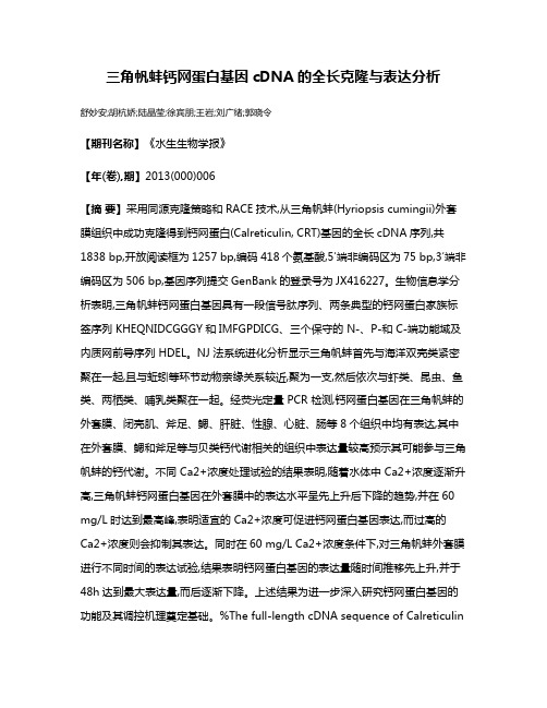 三角帆蚌钙网蛋白基因cDNA的全长克隆与表达分析