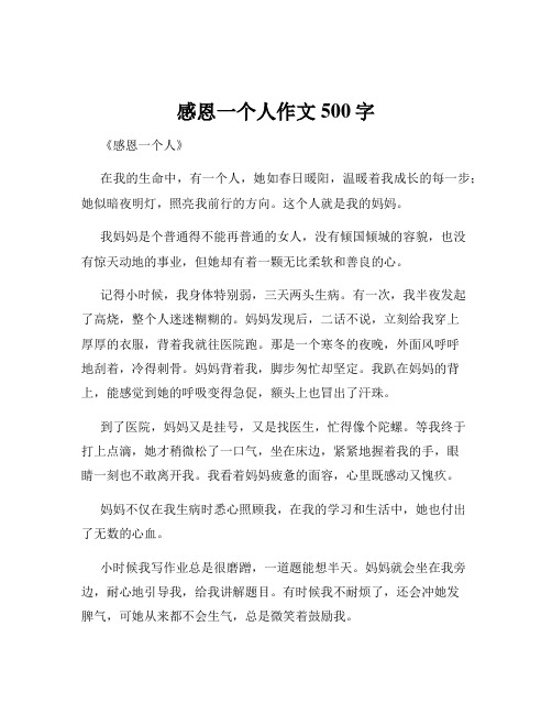 感恩一个人作文500字