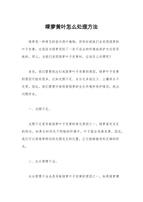 绿萝黄叶怎么处理方法