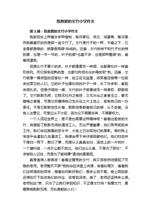 我喜爱的文竹小学作文