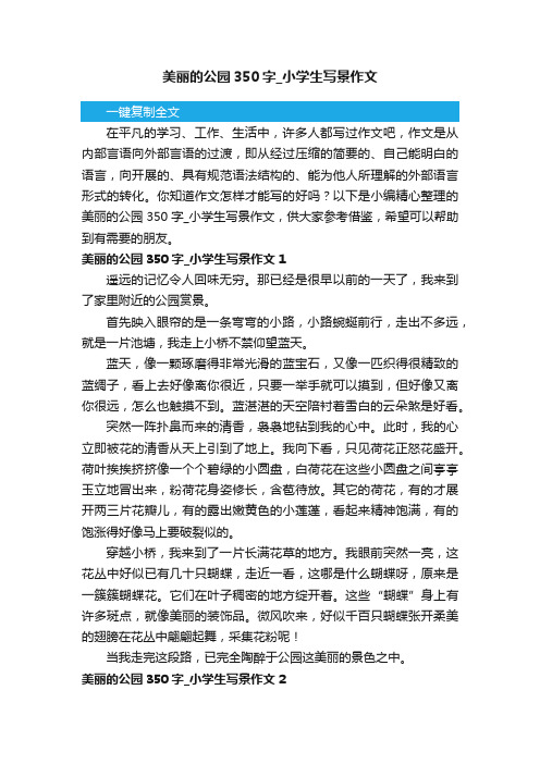 美丽的公园350字_小学生写景作文