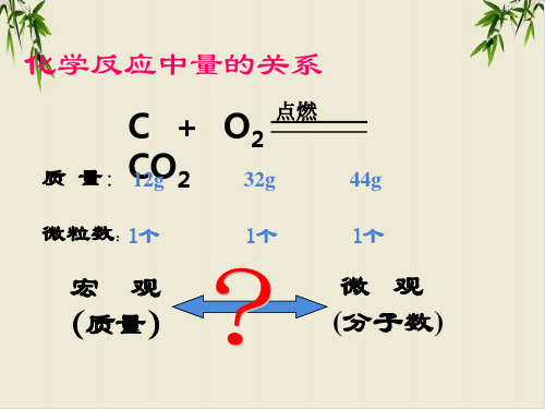 课件《物质的量》完美版_人教版1