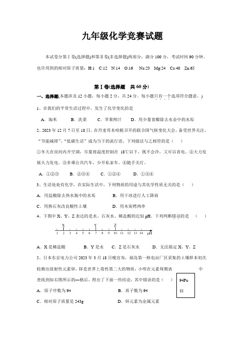 2023年九年级化学竞赛试题