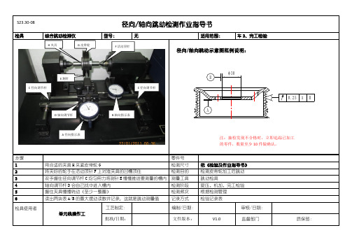 跳动检测仪操作指导书