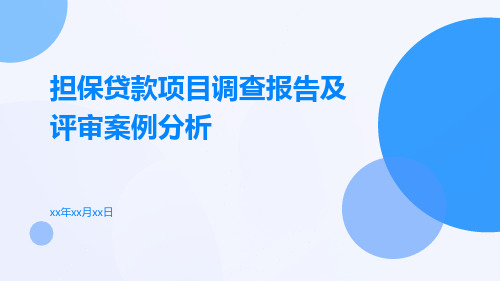 担保贷款项目调查报告及评审案例分析