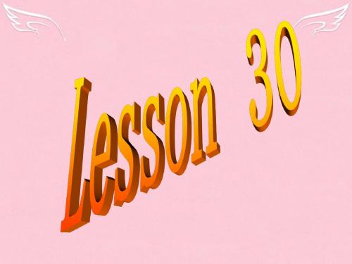 八年级英语上册Lesson30课件冀教版