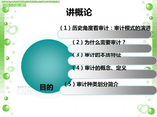 审计概论培训课件(PPT 52张)