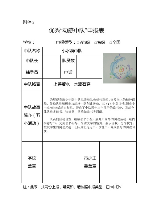 优秀“动感中队”申报表