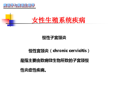 第九章 生殖系统疾病