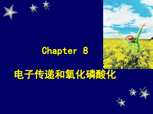 Chapter 8  电子传递和氧化磷酸化