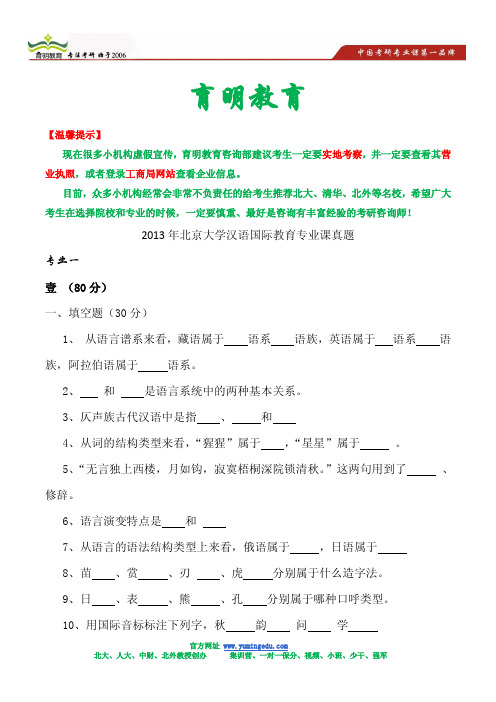 2013年北京大学汉语国际教育硕士考研真题及答案解析