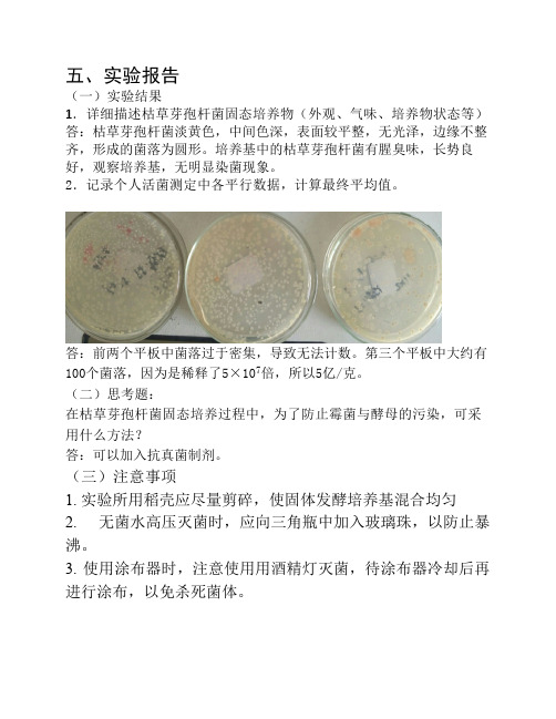 发酵工程报告枯草芽孢杆菌