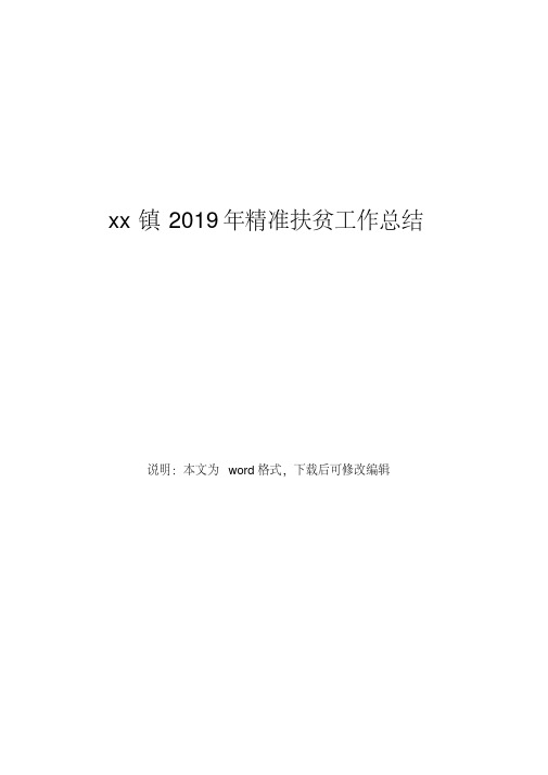 xx镇2019年精准扶贫工作总结