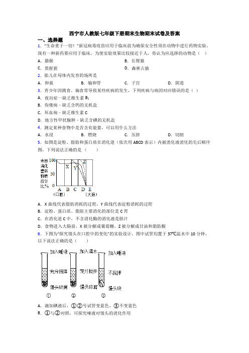 西宁市人教版七年级下册期末生物期末试卷及答案