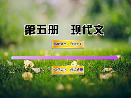 高考语文一轮全程复习方略配套课件：现代文语文版第五册