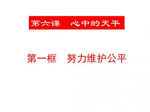 (2019版)九年级政治心中的天平