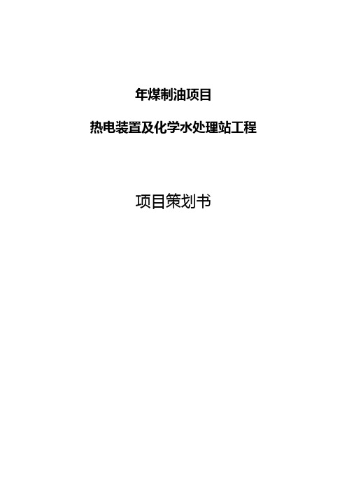 某大型热电项目工程整体规划建设项目可行性研究报告