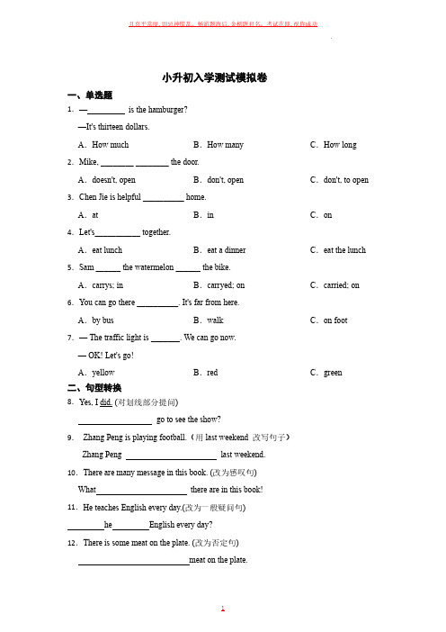 小升初入学测试模拟卷 (含答案解析)