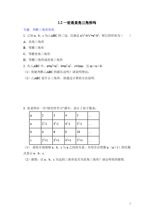 北师大版八年级(上)数学《一定是直角三角形吗》专题练习(含答案)