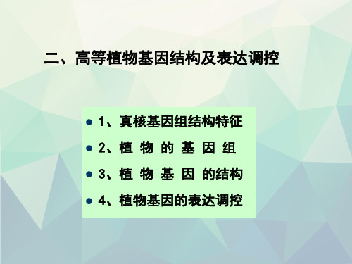 高级植物生理学第一章植物生理与分子生物学