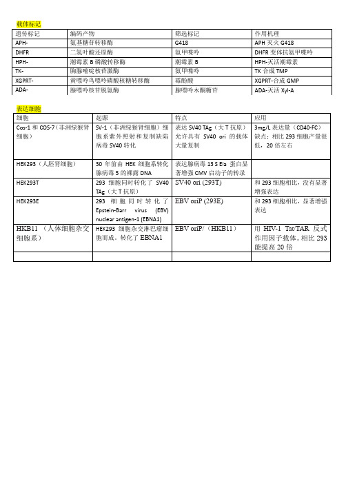 哺乳动物细胞表达系统