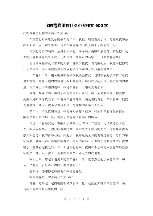 我的青春里有什么中考作文600字