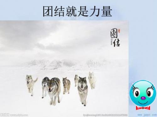北师大版12课1、2站 团结互助