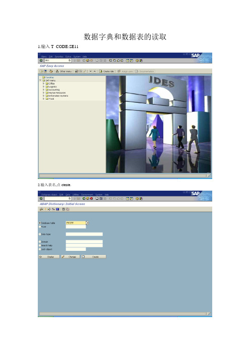 数据字典和数据表的读取(ABAP)