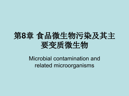 第八章 食品微生物污染及其主要变质微生物