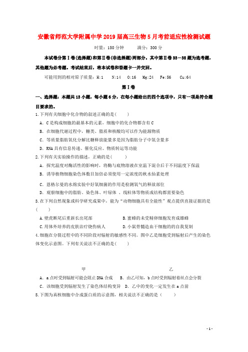 安徽省师范大学附属中学2019届高三生物5月考前适应性检测试题