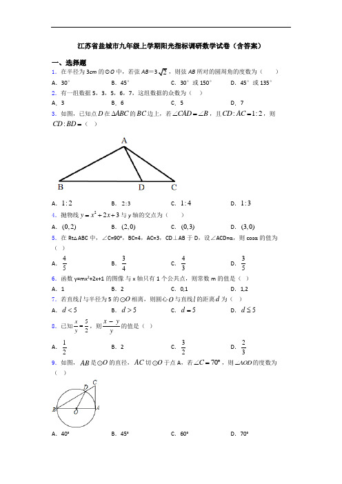江苏省盐城市九年级上学期阳光指标调研数学试卷(含答案)
