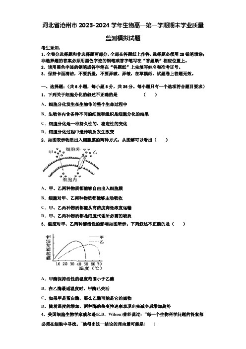 河北省沧州市2023-2024学年生物高一第一学期期末学业质量监测模拟试题含解析