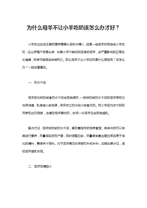 为什么母羊不让小羊吃奶该怎么办才好