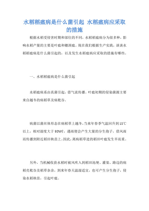 水稻稻瘟病是什么菌引起 水稻瘟病应采取的措施