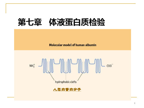 第七章体液蛋白质检验