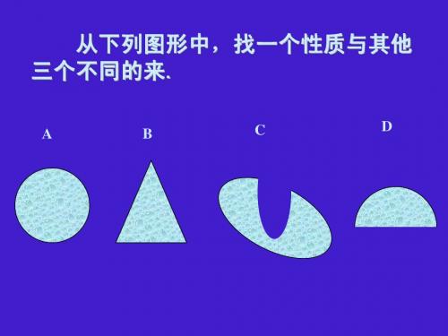 13事物的正确答案不止一个