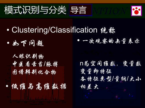 模式识别及其分类PPT课件