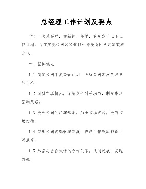 总经理工作计划及要点