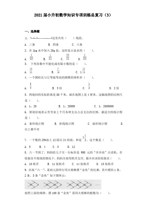 2021届小升初数学知识专项训练总复习(三)【含答案】