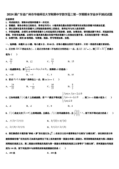 2024届广东省广州市华南师范大学附属中学数学高三第一学期期末学业水平测试试题含解析