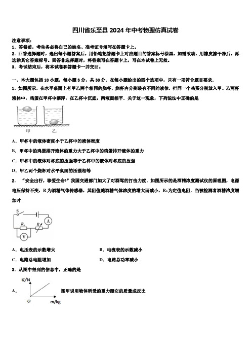 四川省乐至县2024年中考物理仿真试卷含解析