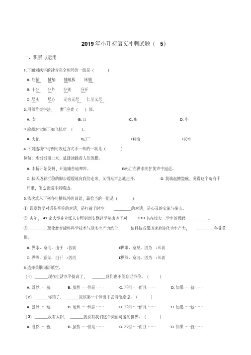 六年级下册试题2019年小升初语文冲刺试题(5)人教新课标(含答案)