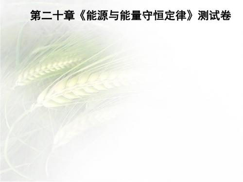 沪粤版九年级物理下册第二十章《能源与能量守恒定律》测试卷