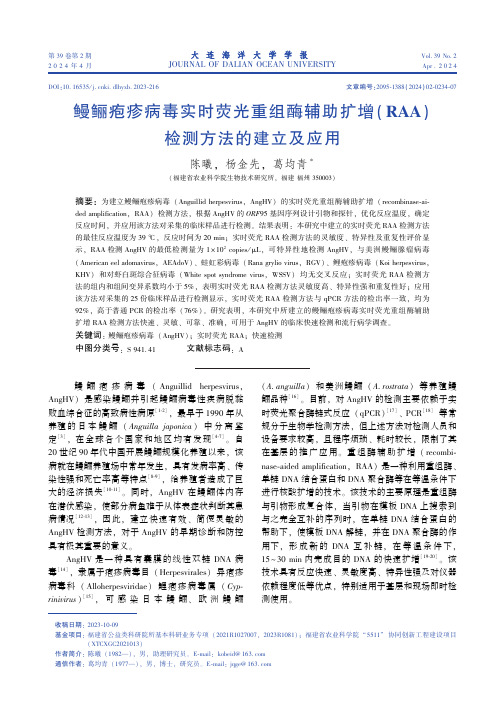 鳗鲡疱疹病毒实时荧光重组酶辅助扩增(RAA)_检测方法的建立及应用