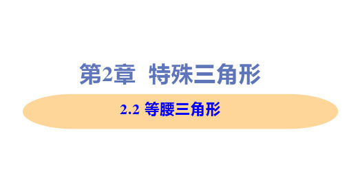 新浙教版八年级上册初中数学 2-2 等腰三角形 教学课件