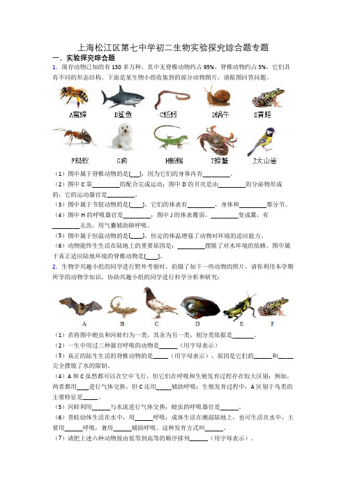 上海松江区第七中学初二生物实验探究综合题专题